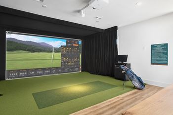 Trackman golf simulator