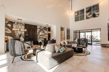 Matthews apartment for rent - A modern living room with a large grey sofa and a tree-like decoration.
