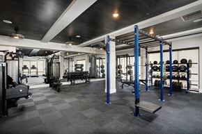 Franklin apartment for rent - A gym with a variety of equipment including weights and a bench.