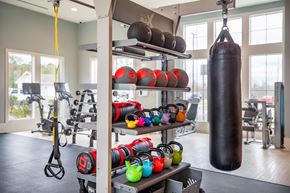 Pooler apartment for rent - A gym with a punching bag, weights and exercise equipment.