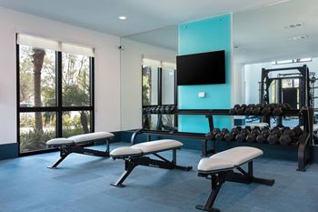 State-of-the-art fitness center w/ cardio + residence equipment