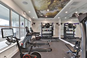 Cullowhee apartment for rent - A gym with a row of treadmills and a wall of dumbbells.