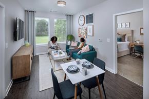 Atlanta apartment for rent - a living room and dining room in an apartment