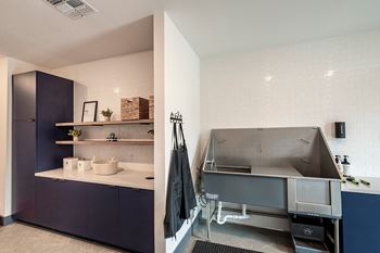 Pet park and dog spa