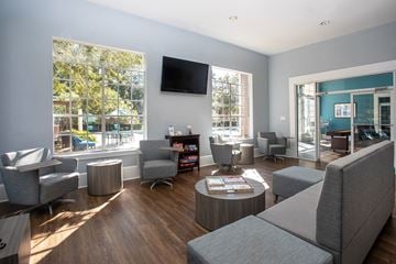 Tallahassee apartment for rent - a living room filled with furniture and a flat screen tv