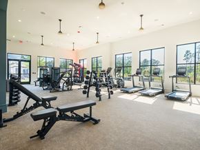 Richmond Hill apartment for rent - A gym with a variety of equipment including treadmills, weights, and exercise machines.
