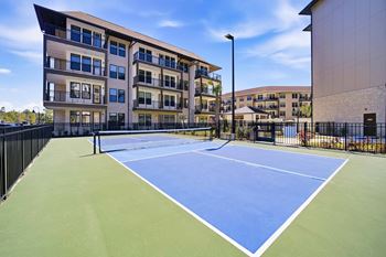 Professional pickleball court