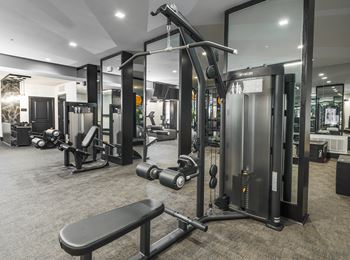 3,000 Sf world-class sports club with state-of-the-art cardio equipment and free weights