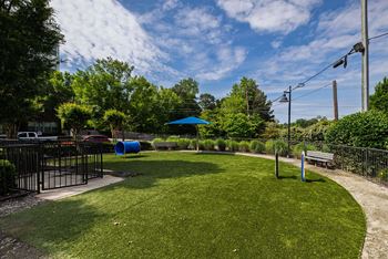 Pet park with astro turf