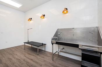 Pet washing station