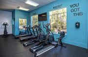 Tallahassee apartment for rent - a room filled with cardio equipment and a large window