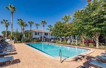 A pool surrounded by palm trees and lounge chairs