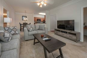 Columbus apartment for rent - A living room with a grey couch, a coffee table, and a television.