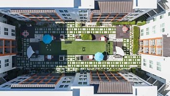Turf courtyard