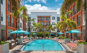 Tampa apartment for rent - A pool surrounded by palm trees and lounge chairs.
