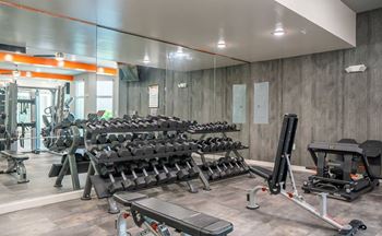 Fitness center with cardio and free weights