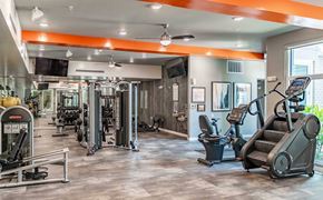 Tampa apartment for rent - A gym with a variety of equipment including treadmills, weights, and exercise machines.