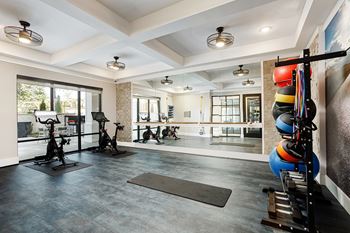 Professional “crossfit” style full service gym and peloton/yoga studio
