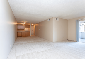 Colorado Springs apartment for rent - A spacious room with a carpeted floor and a window on the right side.