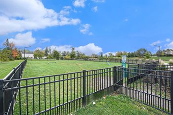 On-site dog park