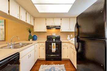 Kitchen with all black appliances