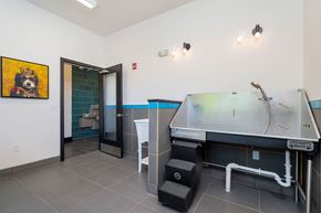 Jeffersonville apartment for rent - Luxury Apartments In Jeffersonville, IN With In-Unit Washer And Dryer - The Laurel - Pet Grooming Station With Modern Fixtures And Tiled Floors.