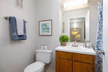 A bathroom with a toilet, sink, and a mirror
