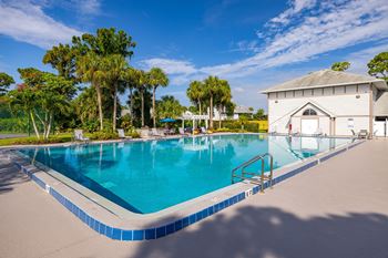 A swimming pool surrounded by trees and a house