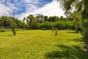 A green lawn with a blue object and a metal pole in the background