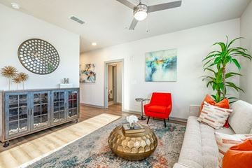 Daytona Beach apartment for rent - 1 Bedroom Apartments in Daytona Beach, FL - Madison Pointe - Living Room with Wood-Style Plank Flooring, Area Rug, Couch, Chair, Round Coffee Table, Cabinet, Wall Art, House Plant, and Ceiling Fan