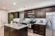 Altamonte Springs apartment for rent - A modern kitchen with dark wood cabinets and stainless steel appliances.