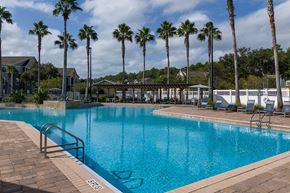 Jacksonville apartment for rent - A swimming pool surrounded by palm trees and lounge chairs.