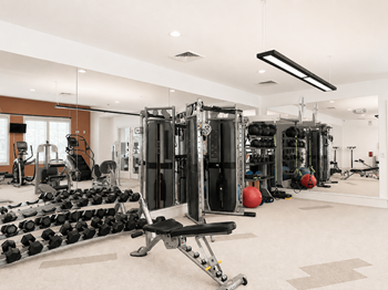 Cardio and weightlifting studio