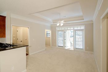 Crown molding and trey ceilings*