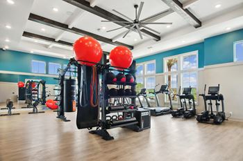 Free weights and trx equipment