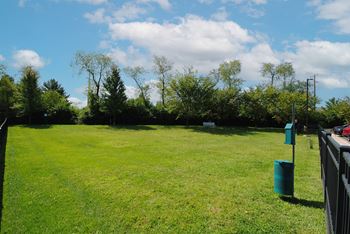 On-site dog park