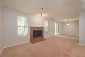 Redmond apartment for rent - Downtown Redmond, WA, Pet-Friendly Apartments - Peloton - Spacious Living Room With Fireplace, Large Windows, Neutral Carpet, And Sliding Glass Door Access to Personal Patio.