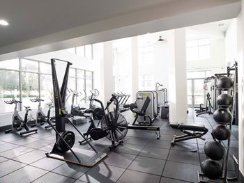 Fitness studio with strength, cardio, and free weights