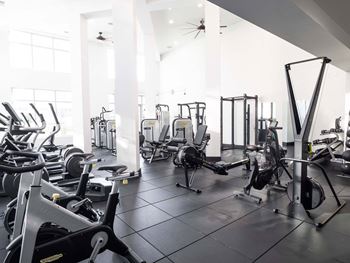 Fitness studio with strength, cardio, and free weights