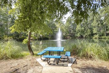 Pond view