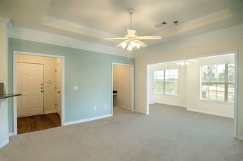 Crown molding and trey ceilings