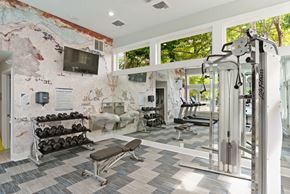Centreville apartment for rent - reserve-at-regency-park-fitness-center