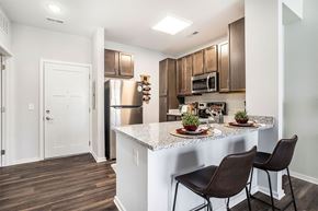 Holland apartment for rent - One-Bedroom Apartments in Holland, MI - Shoreline Flats - Modern Kitchen With Granite Breakfast Bar, Dark Wood Cabinets, Stainless Steel Appliances, And Bar Seating Near Entryway.