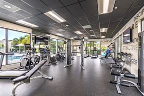 Goulds apartment for rent - A gym with a variety of equipment including treadmills, weights, and exercise machines.