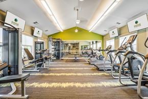 Easley apartment for rent - a gym with cardio equipment and weights on the floor