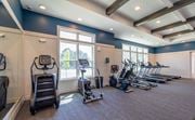 Mauldin apartment for rent - Downtown Greenville, SC Apartments - The Aster - Fitness Center with Carpeting, Treadmills, Elliptical Machines, Stairmaster, Wall Mirror, and Large Windows.