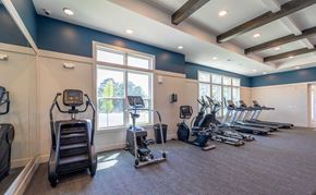 Mauldin apartment for rent - Downtown Greenville, SC Apartments - The Aster - Fitness Center with Carpeting, Treadmills, Elliptical Machines, Stairmaster, Wall Mirror, and Large Windows.