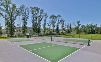 Pickleball court