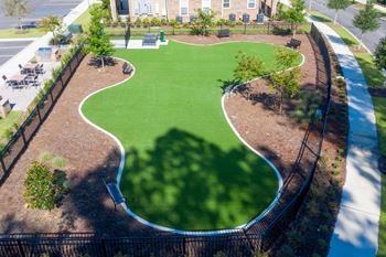 Dog park