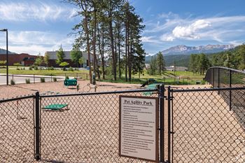 Pet agility park